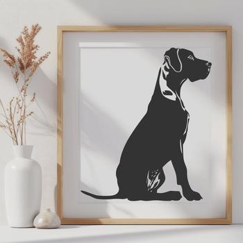A seated Great Dane breed dog in a neutral background.