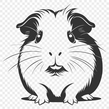 A digital illustration of a cute guinea pig in a sitting position, suitable for vector graphics.