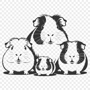 A digital illustration of a guinea pig in various poses and styles suitable for vector graphics design.