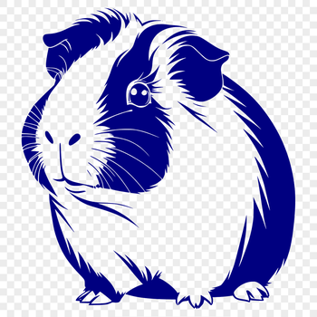 A Guinea Pig illustration in vector format.