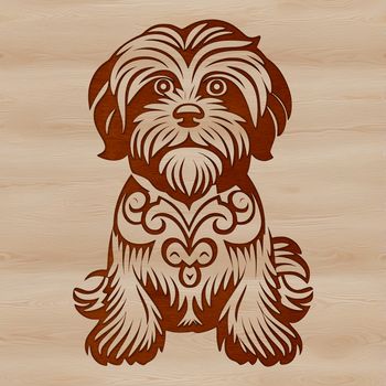 A small dog breed illustration featuring a Havanese in a sitting position.