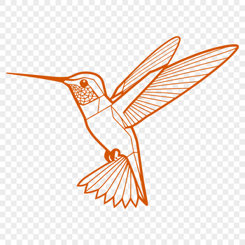 A detailed illustration of a hummingbird in flight, suitable for vector design.