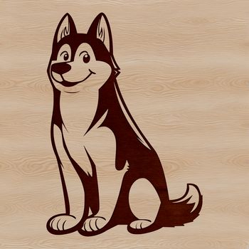 A Siberian Husky dog sitting on its hind legs.