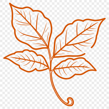 Vector illustration of a single leaf with intricate details, ideal for vector design and digital projects.