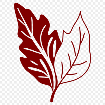A detailed illustration of a leaf in vector format, suitable for printing and cutting with a Cricut machine or laser cutter.