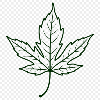 A high-resolution SVG leaf graphic, suitable for digital design projects.