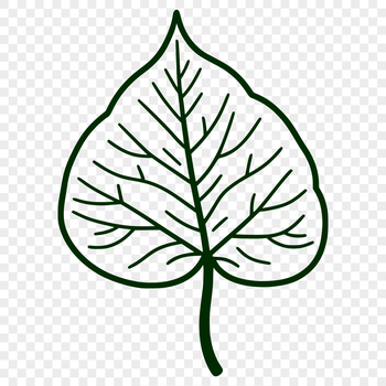 A detailed illustration of a single green leaf with veins and edges.