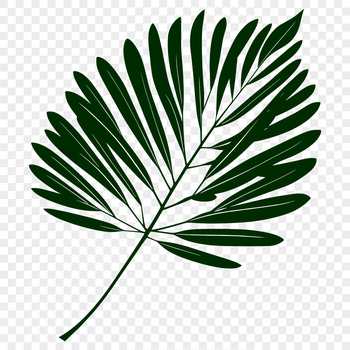 A stylized illustration of a single leaf in vector format.