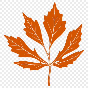 A digital illustration of a leaf in vector format.