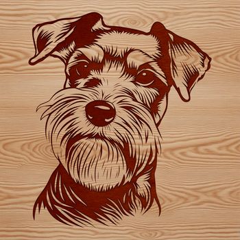A close-up illustration of a miniature schnauzer's head, suitable for customization and design projects.