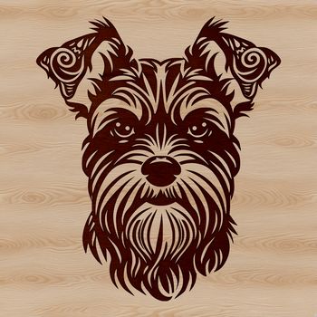 A vector illustration of the head of a miniature schnauzer breed dog.