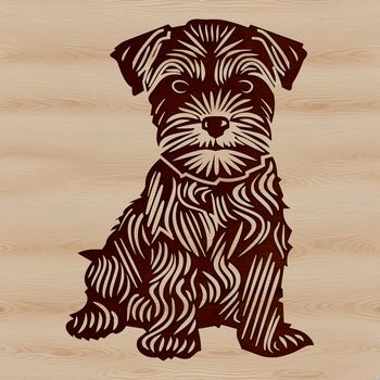 A small breed dog with distinctive facial features and beard sitting on its haunches.