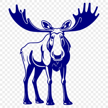 A high-quality illustration of a wild animal, a moose, suitable for vector art designs.