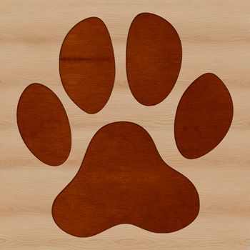 A digital illustration of animal paw prints in various colors and patterns.