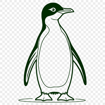 A simple outline illustration of a penguin, suitable for graphic design.