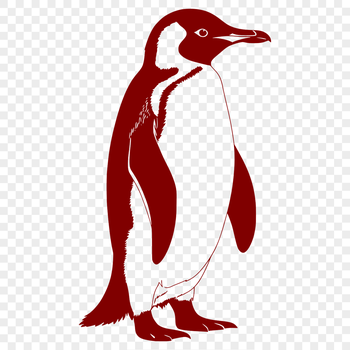 A single penguin standing on the water's edge, serving as a versatile clip art design for various uses.