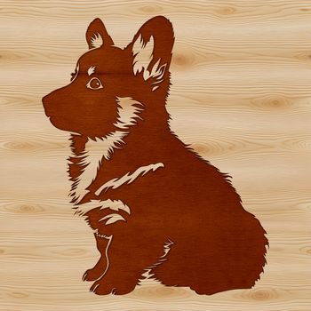 A sitting Welsh Corgi breed dog with a cute appearance.