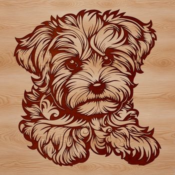 A small breed dog lying on its side with a gentle expression.