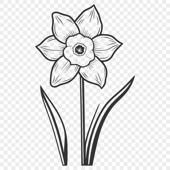 A digital illustration of a daffodil flower with yellow petals and trumpet-shaped center.