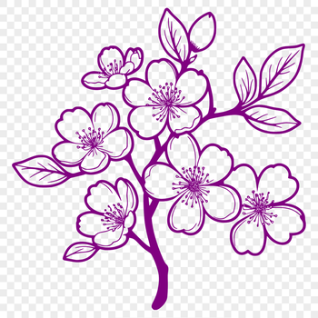 A highly detailed illustration of a blooming cherry blossom plant.