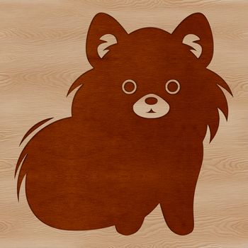 A small, fluffy dog breed, the Pomeranian, sitting in a simple composition.