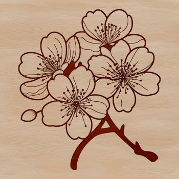 A delicate illustration of a cherry blossom plant in bloom.