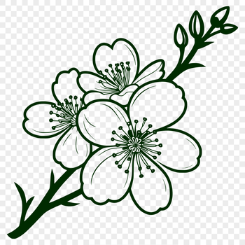 A delicate, stylized illustration of a blooming cherry blossom tree in full spring color.