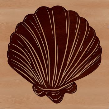 A detailed illustration of a seashell with intricate designs and patterns.