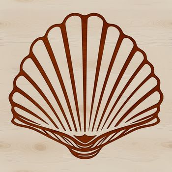 A high-quality digital illustration of a seashell, perfect for crafting and design projects.