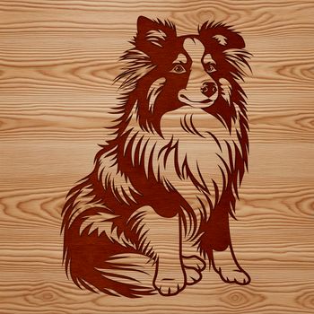 Vector graphic of a Shetland sheepdog in a relaxed position.