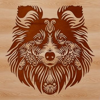 Close-up illustration of a Shetland sheepdog's head with intricate facial features.