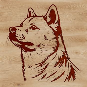 A portrait of a Shiba Inu dog's head with intricate details.