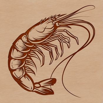 A simple illustration of a single shrimp with its shell and antennae.