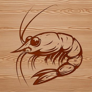 An isolated SVG design featuring a single shrimp as a digital clipping art object.