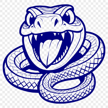 A reptile snake illustration in vector format.