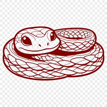 A colorful illustration of a snake in various shapes and forms.