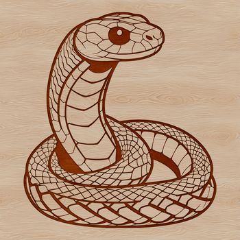 A reptile animal illustration in vector format.