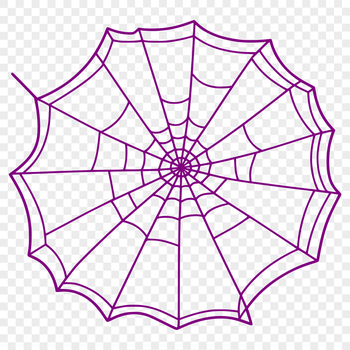 A detailed illustration of a spider web created using vector graphics.