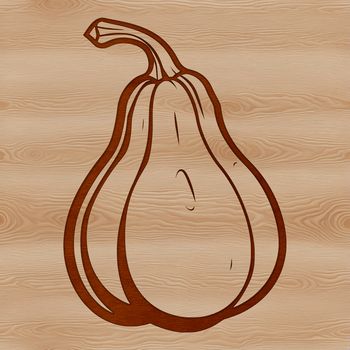 A detailed vector illustration of a squash, suitable for cutting machine projects.