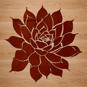 A stylized illustration of a succulent plant, suitable for use as vector art or clip art in various design projects.