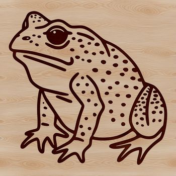 SVG illustration of a toad in a realistic style.
