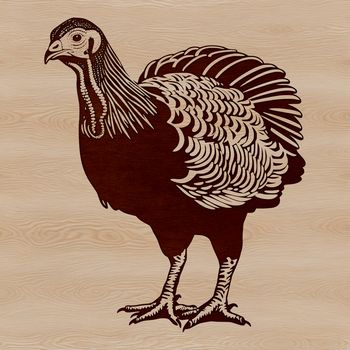 A vector design featuring a turkey, suitable for various uses such as clip art or commercial designs.