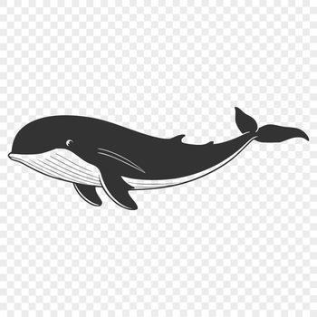 A stylized illustration of a whale in vector format, suitable for commercial and personal use.