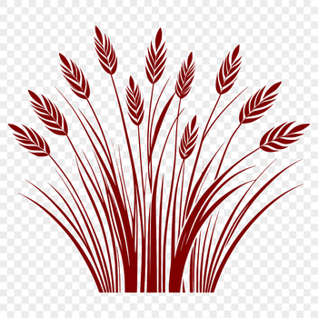 A detailed vector illustration of a wheat ear, suitable for various graphic designs.
