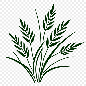 Wheat illustration in vector format for commercial and personal use.