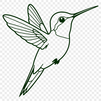 A colorful hummingbird in mid-flight, illustrated in vector style.