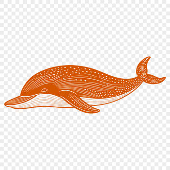 Illustrative vector art of a whale in simple outline format.
