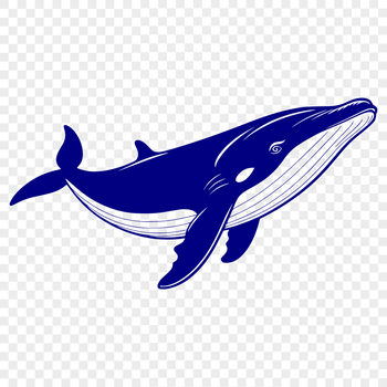 Colorful whale illustration for creative projects and designs.