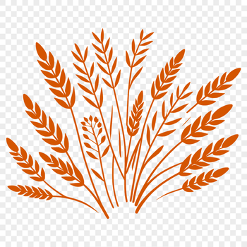 A simple vector illustration of a wheat grain in outline form.