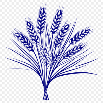 A vector illustration of a wheat grain in black and white.